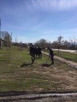 �����������