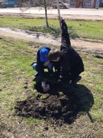 �����������