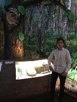 �����������