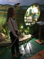 �����������