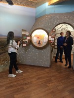 �����������