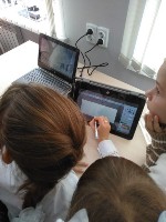 �����������